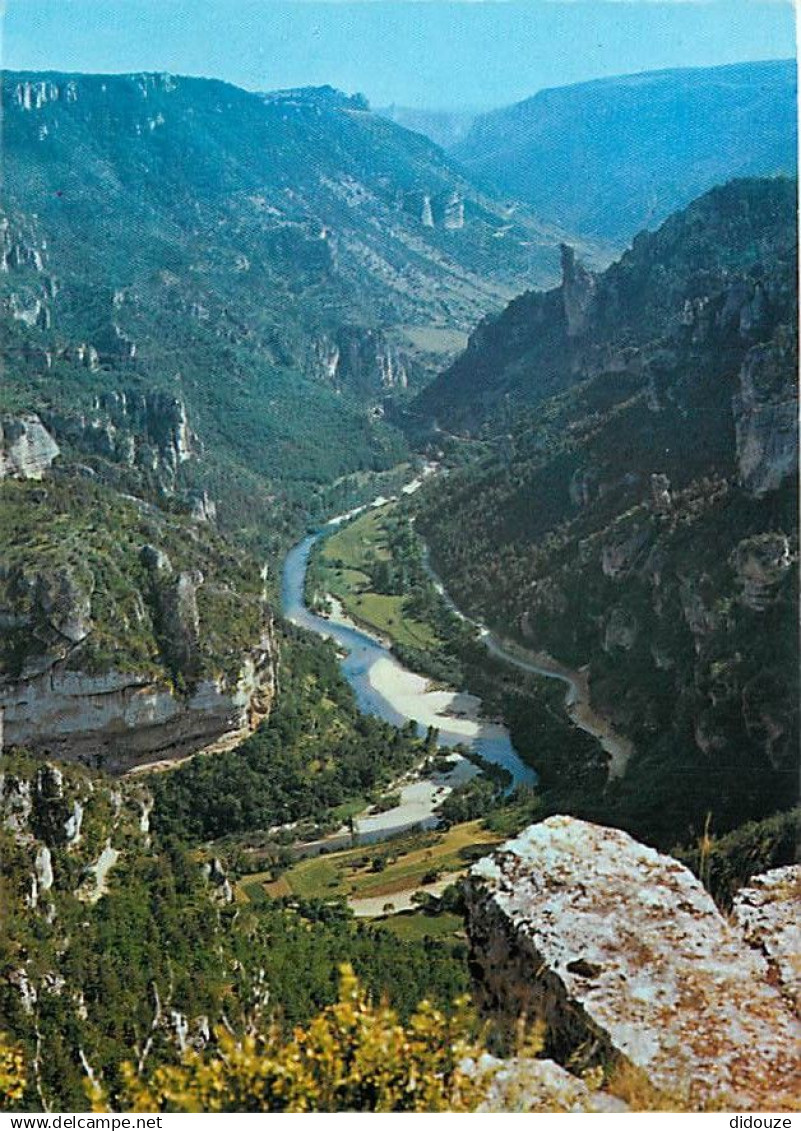 48 - Les Gorges du Tarn - CPM - Voir Scans Recto-Verso