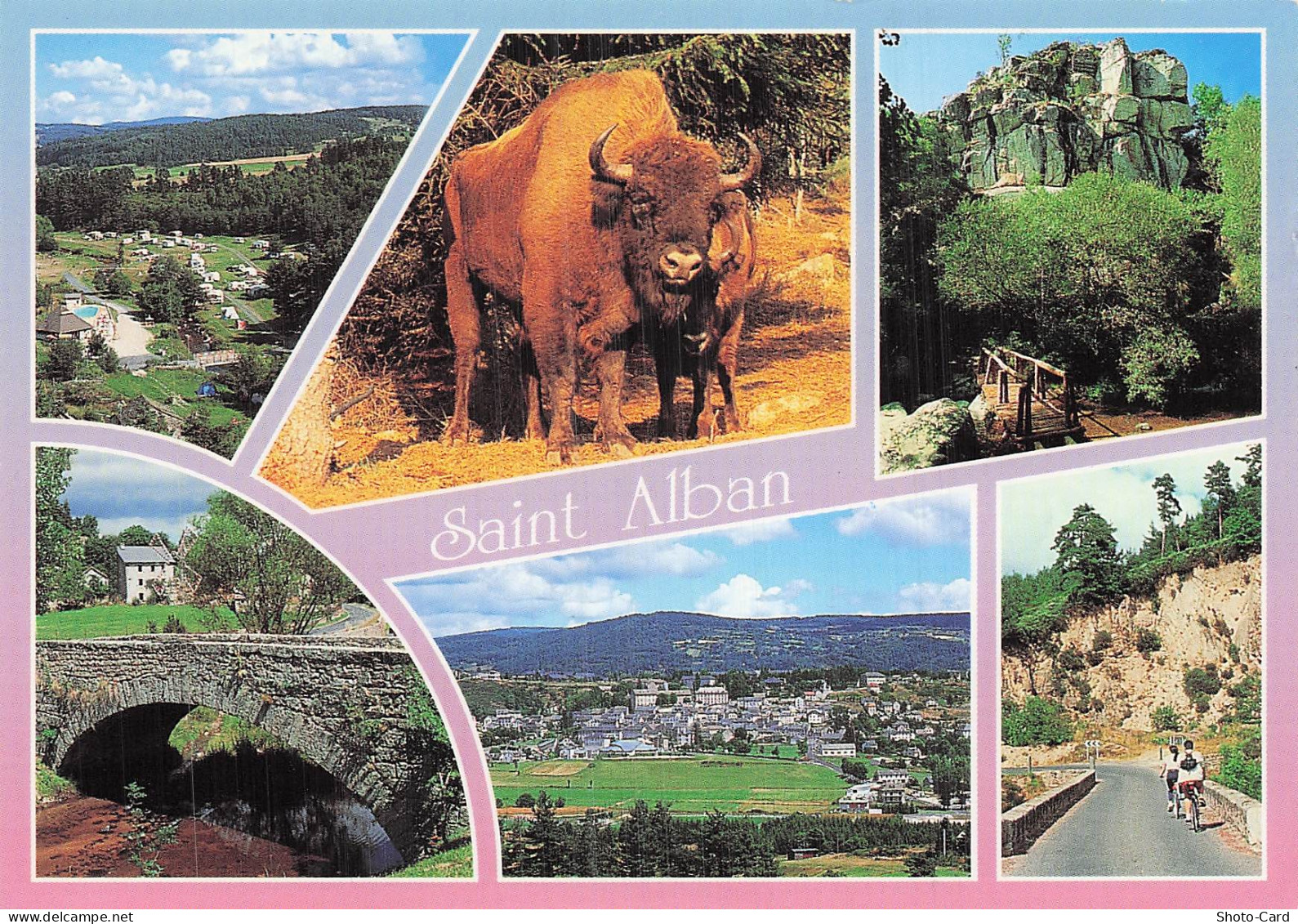 48 SAINT ALBAN SUR LIMAGNOLE PARC DES BISONS D EUROPE