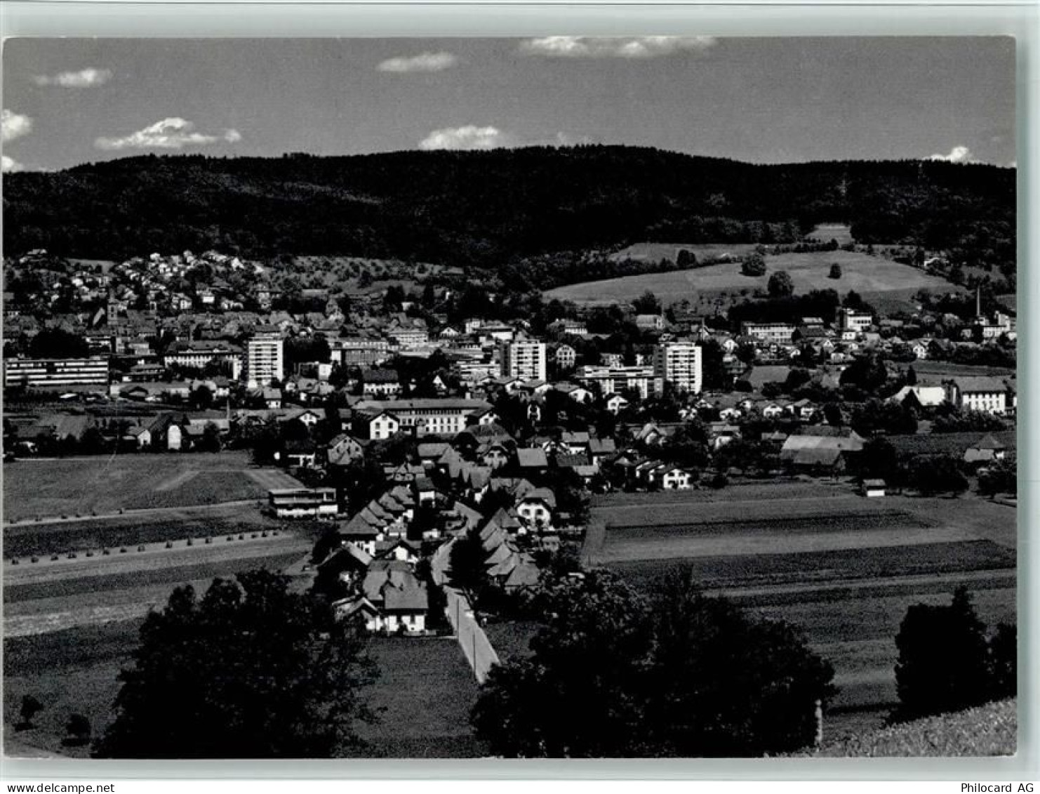 4800 Zofingen - 10159019