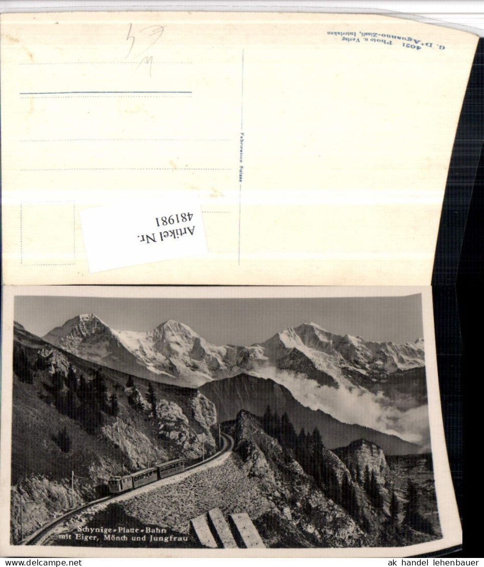 481981,Schynige Platte-Bahn Zahnradbahn b. Gündlischwand Bergkulisse Kt Bern