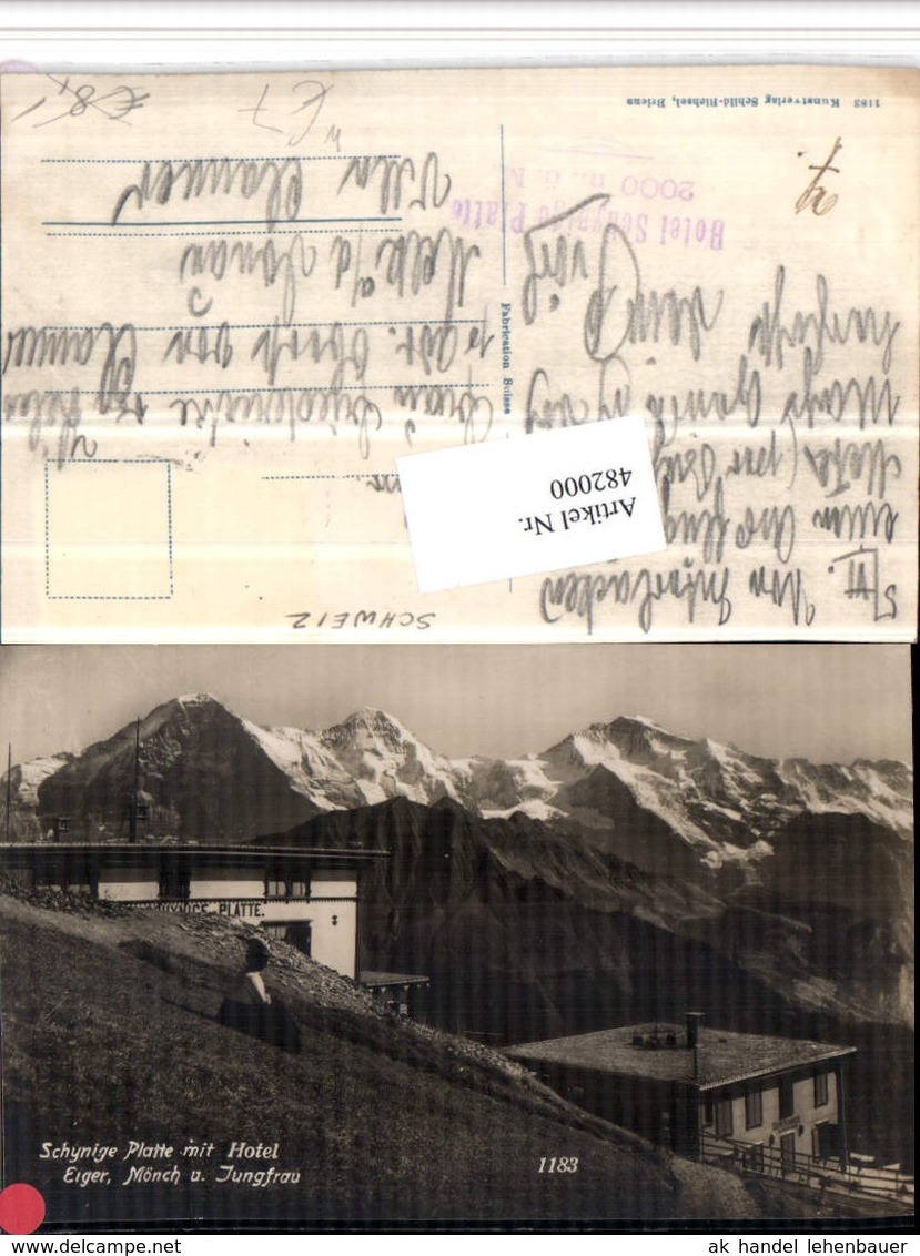 482000,Schynige Platte b. G&uuml;ndlischwand Hotel geg. Eiger Bergkulisse Kt Bern