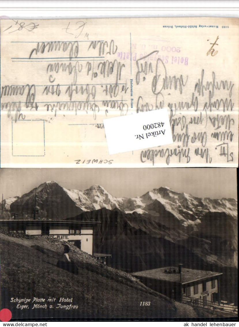 482000,Schynige Platte b. Gündlischwand Hotel geg. Eiger Bergkulisse Kt Bern