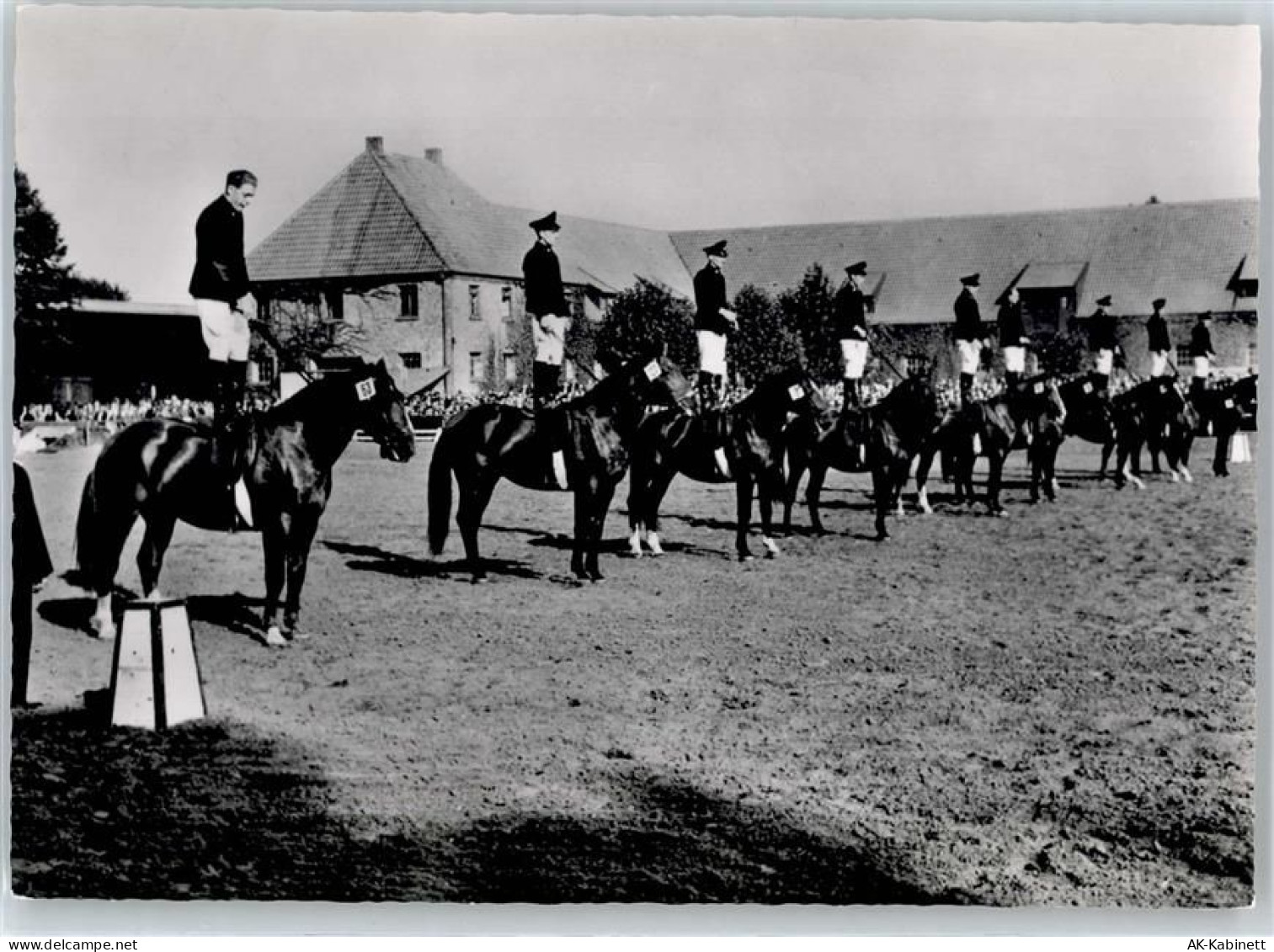 48231 W4410 Warendorf - Hengstparade Landgestüt, Pferd - 51055089