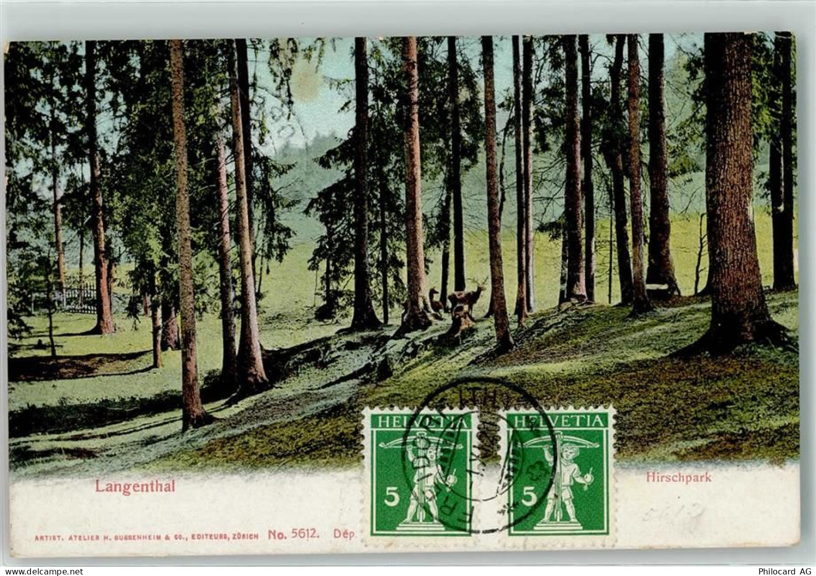 4900 Langenthal - Hirschpark - 39410440