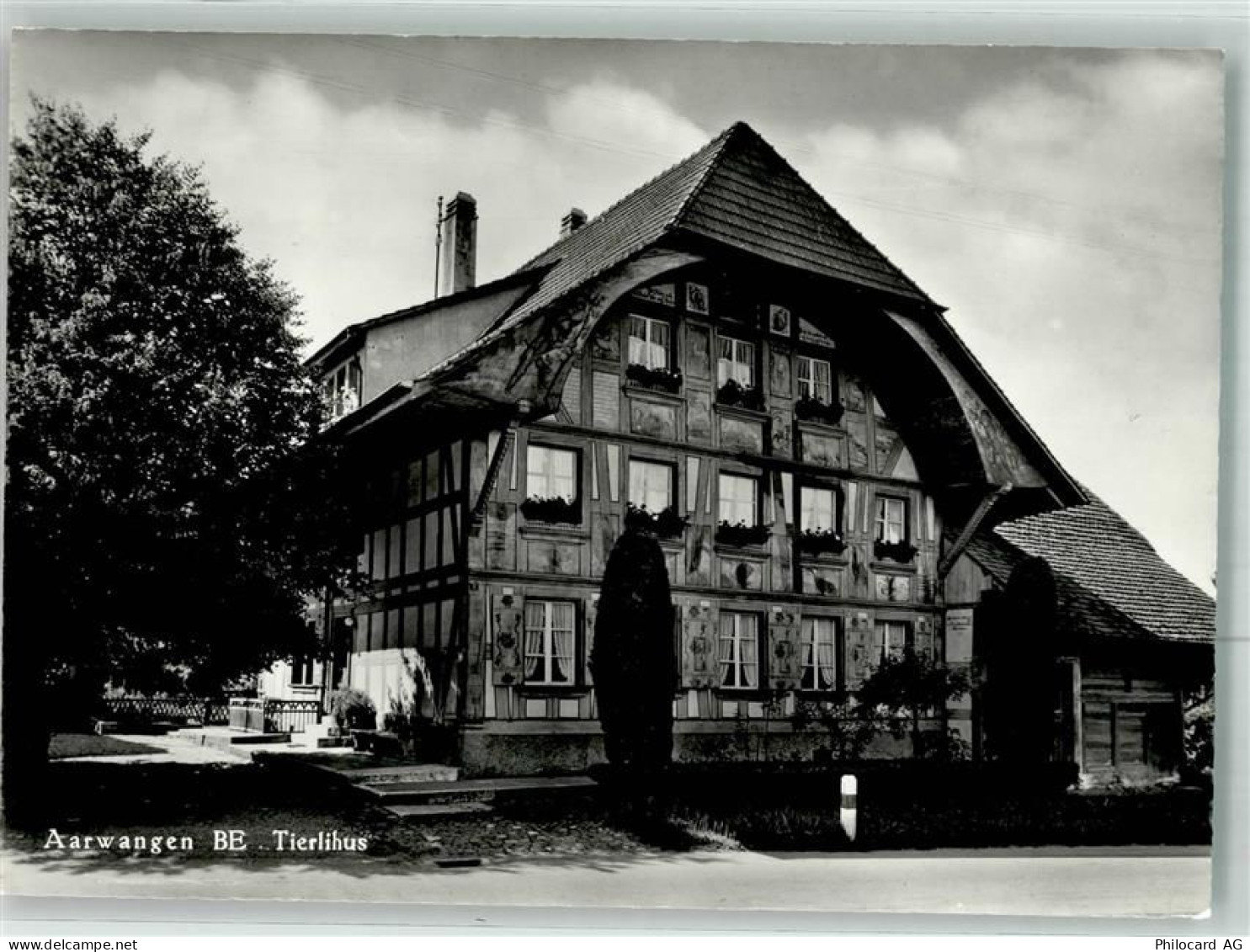 4912 Aarwangen 1975 Foto AK Tierlihus - 38022216