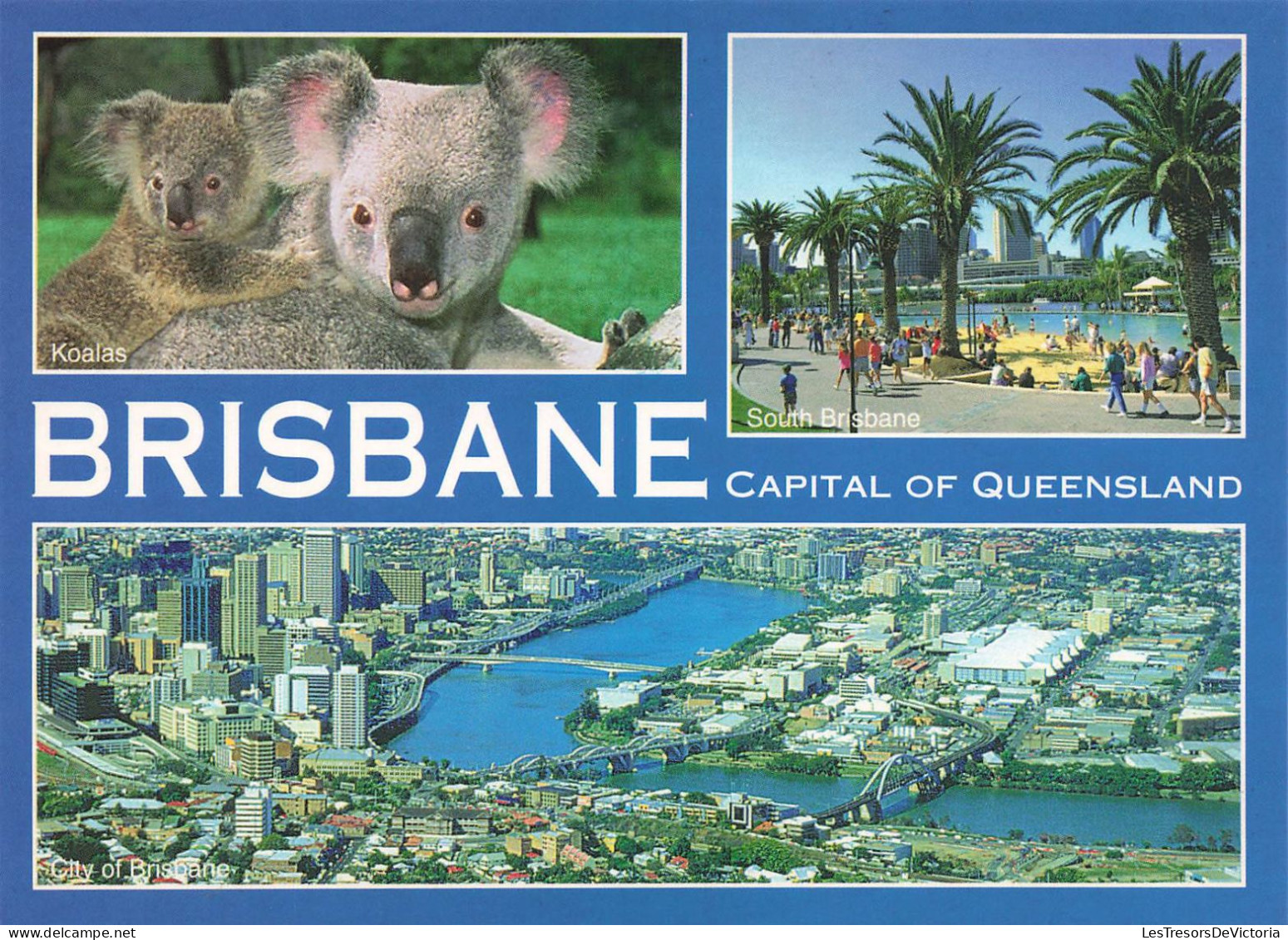 [-5%] AUSTRALIE - Brisbane - Capital of Queensland - Koalas - South Brisbane - City of Brisbane - Carte Postale