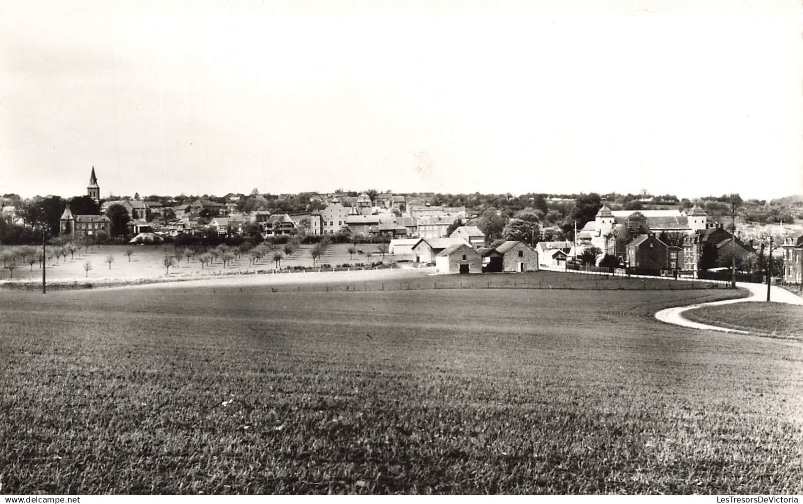 [-5%] BELGIQUE - Anthisnes - le panorama - vue densemble - Carte postale Ancienne