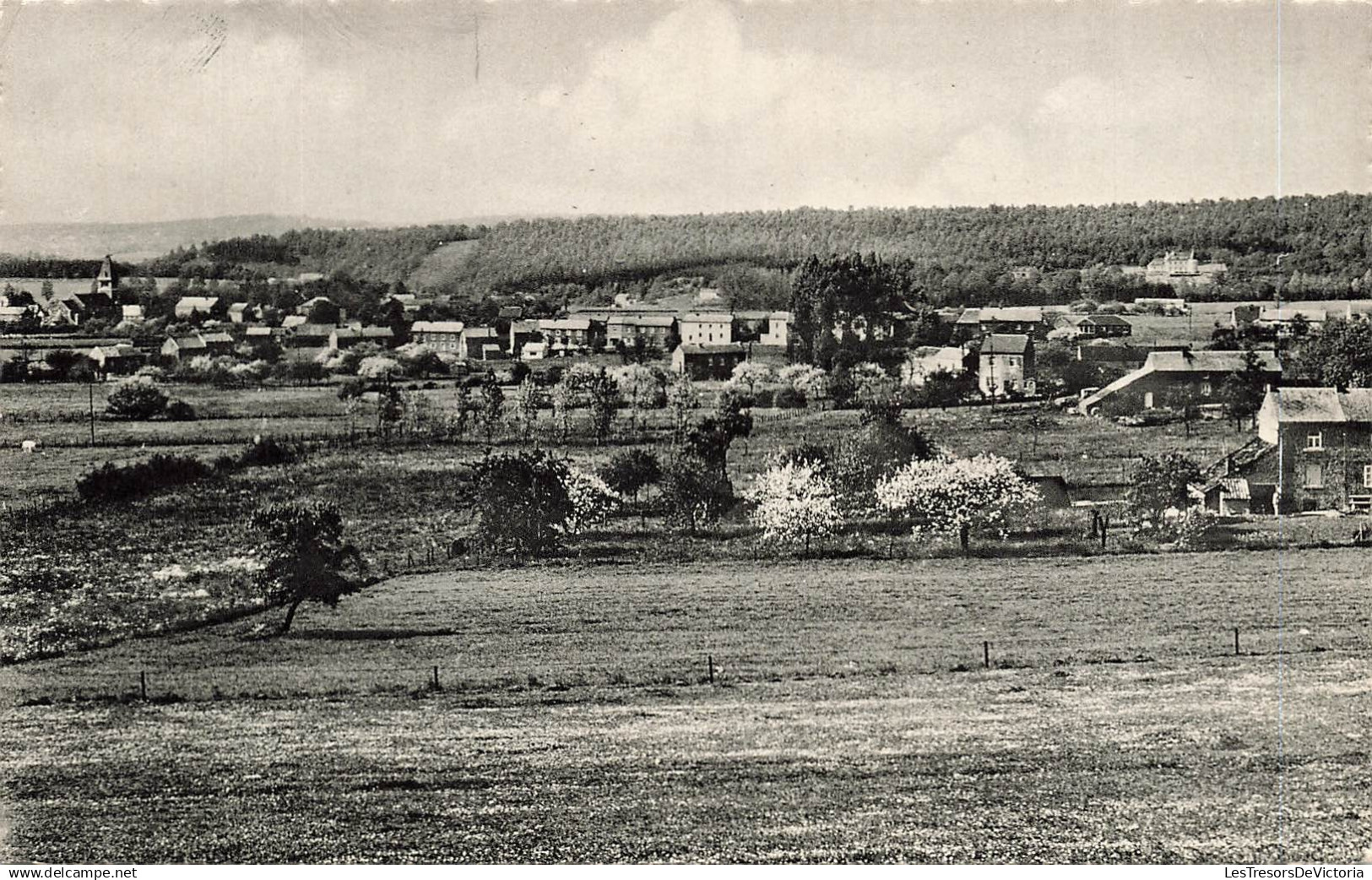 [-5%] BELGIQUE - Gesves - Faulx les Tombes - Panorama - Carte Postale