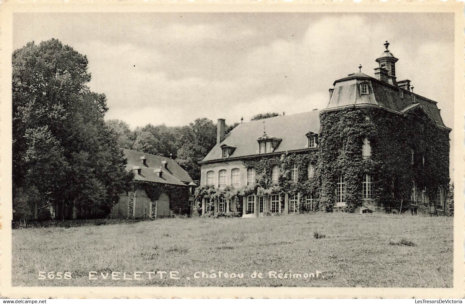 [-5%] BELGIQUE - Ohey - Evelette - Château de Résimont - Carte Postale