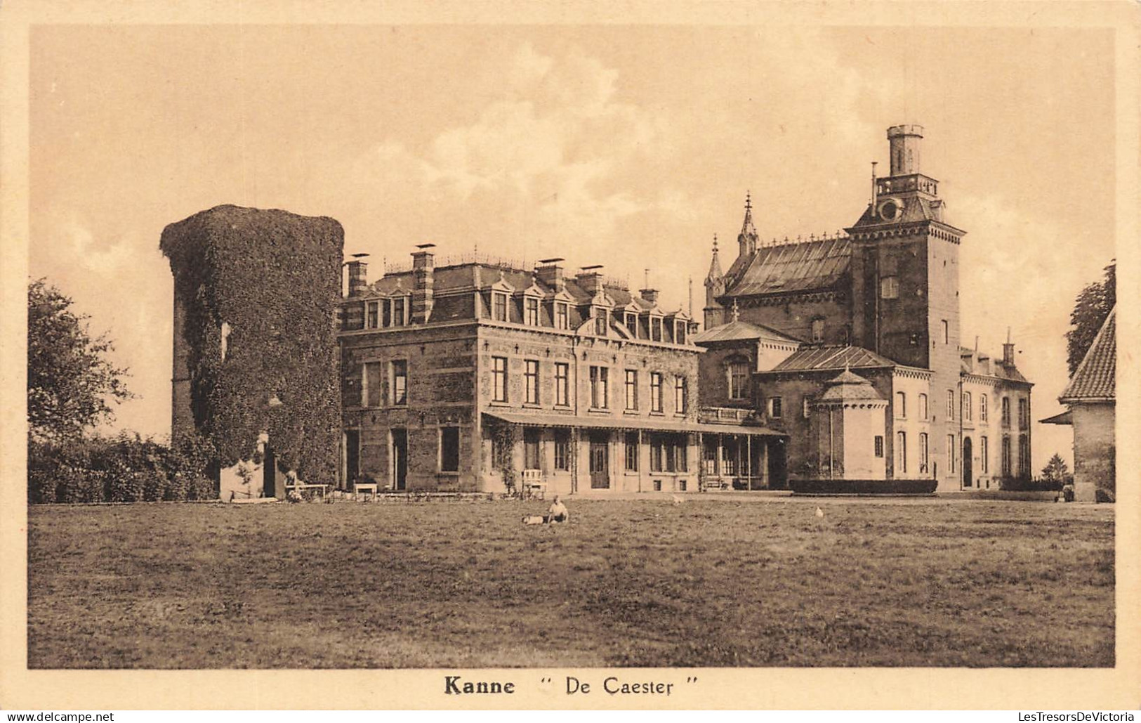 [-5%] BELGIQUE - Riemst - Kanne - De Caester - Centraal - Vue générale - Carte postale ancienne
