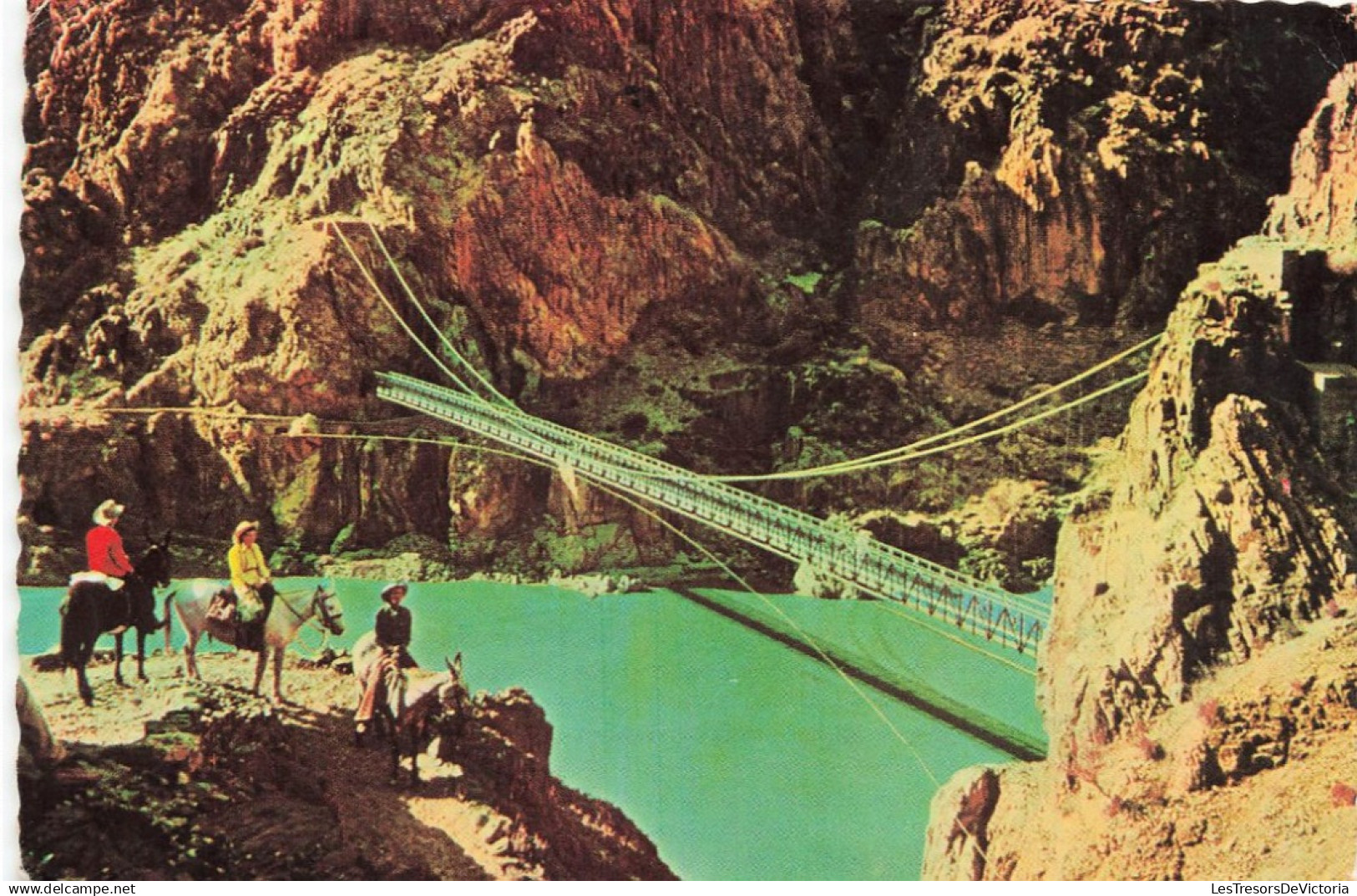 [-5%] ETATS UNIS - Arizona - Kaibab - Parc National Du Grand Canyon - Animé - Colorisé - Carte postale ancienne