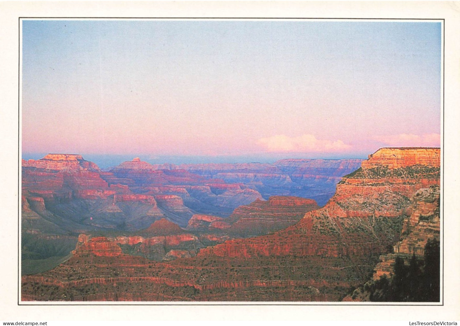 [-5%] ETATS-UNIS - Arizona - The Grand Canyon - Considéré comme l'une des merveilles du monde - Carte Postale Ancienne