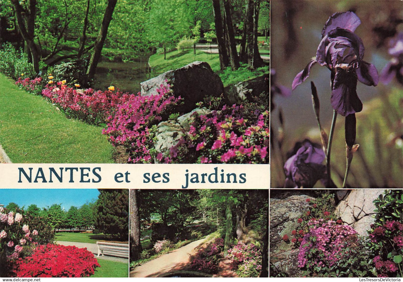 [-5%] FRANCE - Nantes (Loire-Atlantique) - Avec ses nombreux parcs, jardins et parterres - Carte postale ancienne