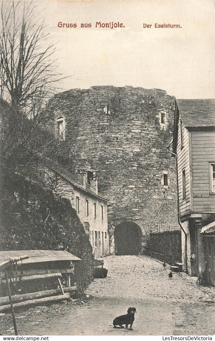 [-5%] SUISSE - Gruss aus Montjoie - Der Eselsturm - Tunnel - Rue - Carte postale ancienne