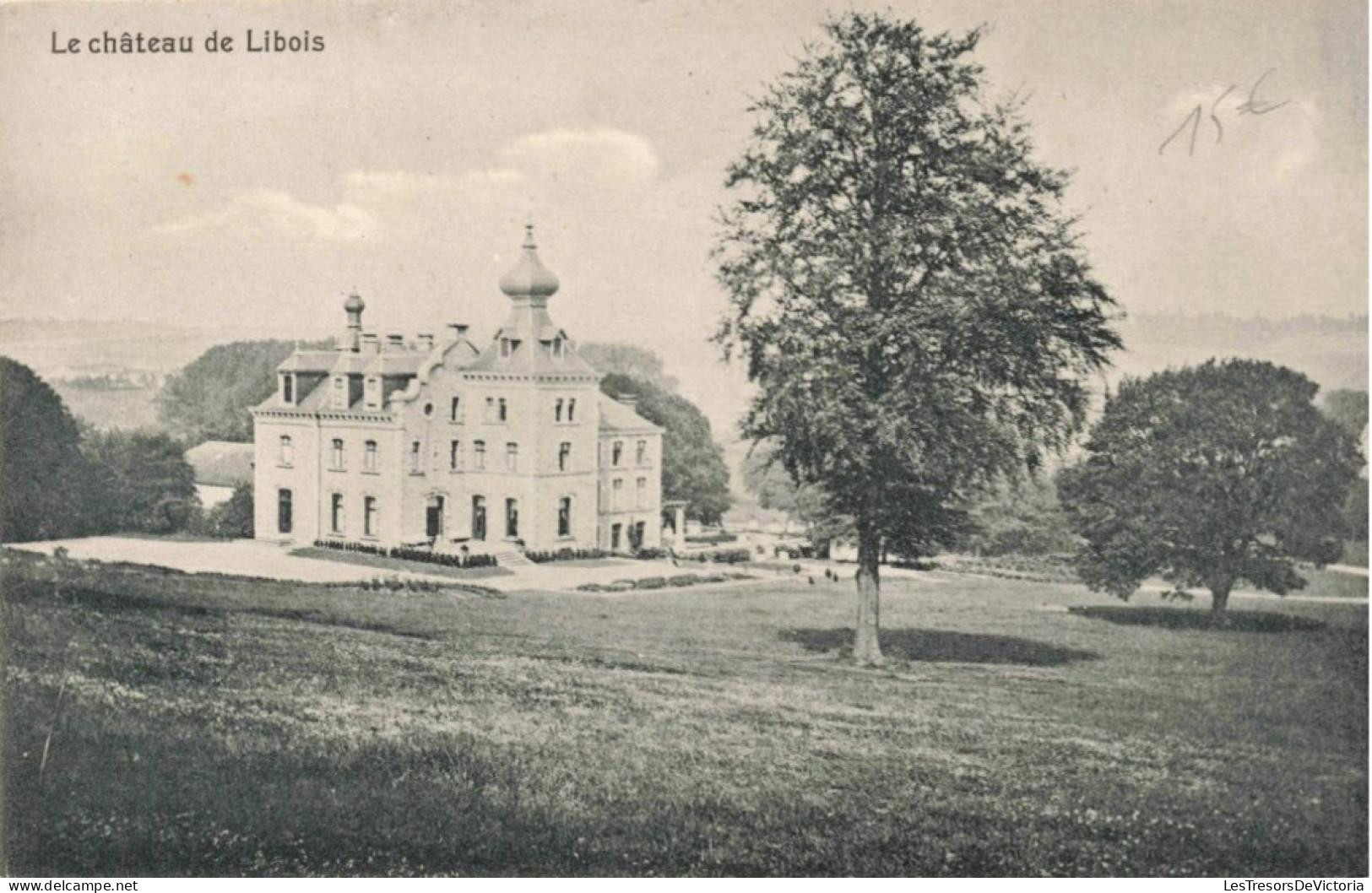 [-50%] Belgique - chateau de Libois - Edit. N Laflotte  -  Carte Postale Ancienn