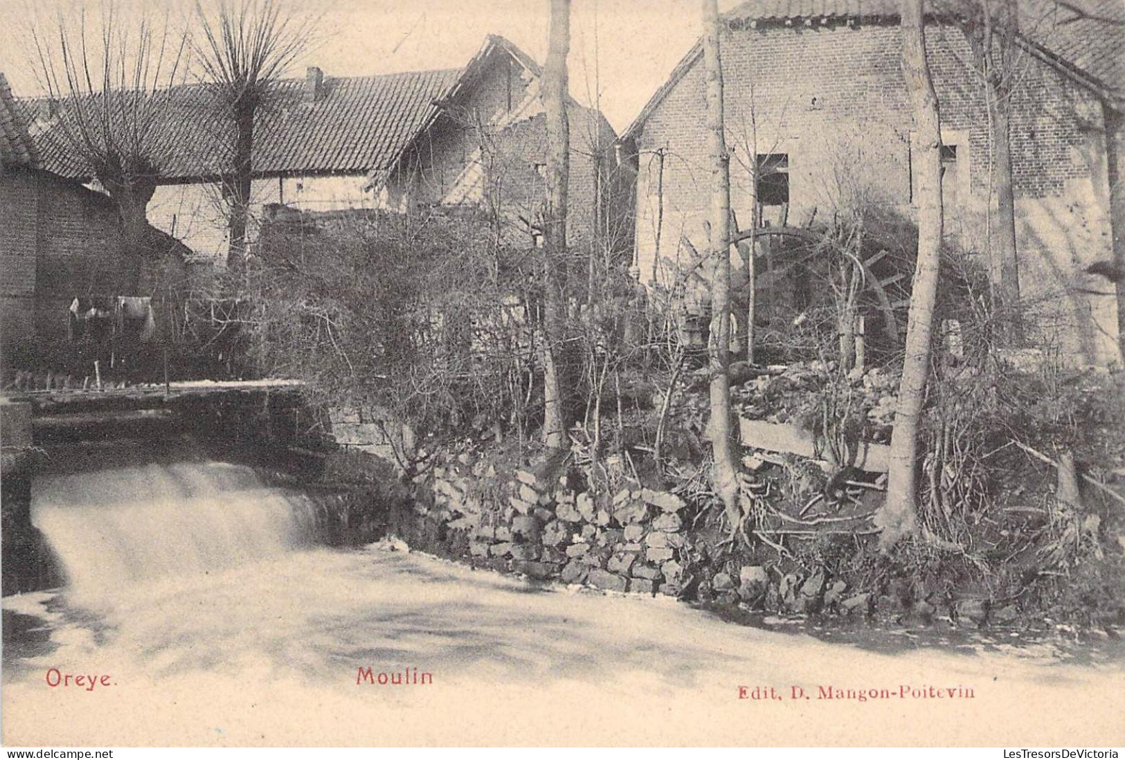 [-50%] Belgique - Oreye - Moulin - Edit. D. Mangon Poitevin   - Carte Postale An