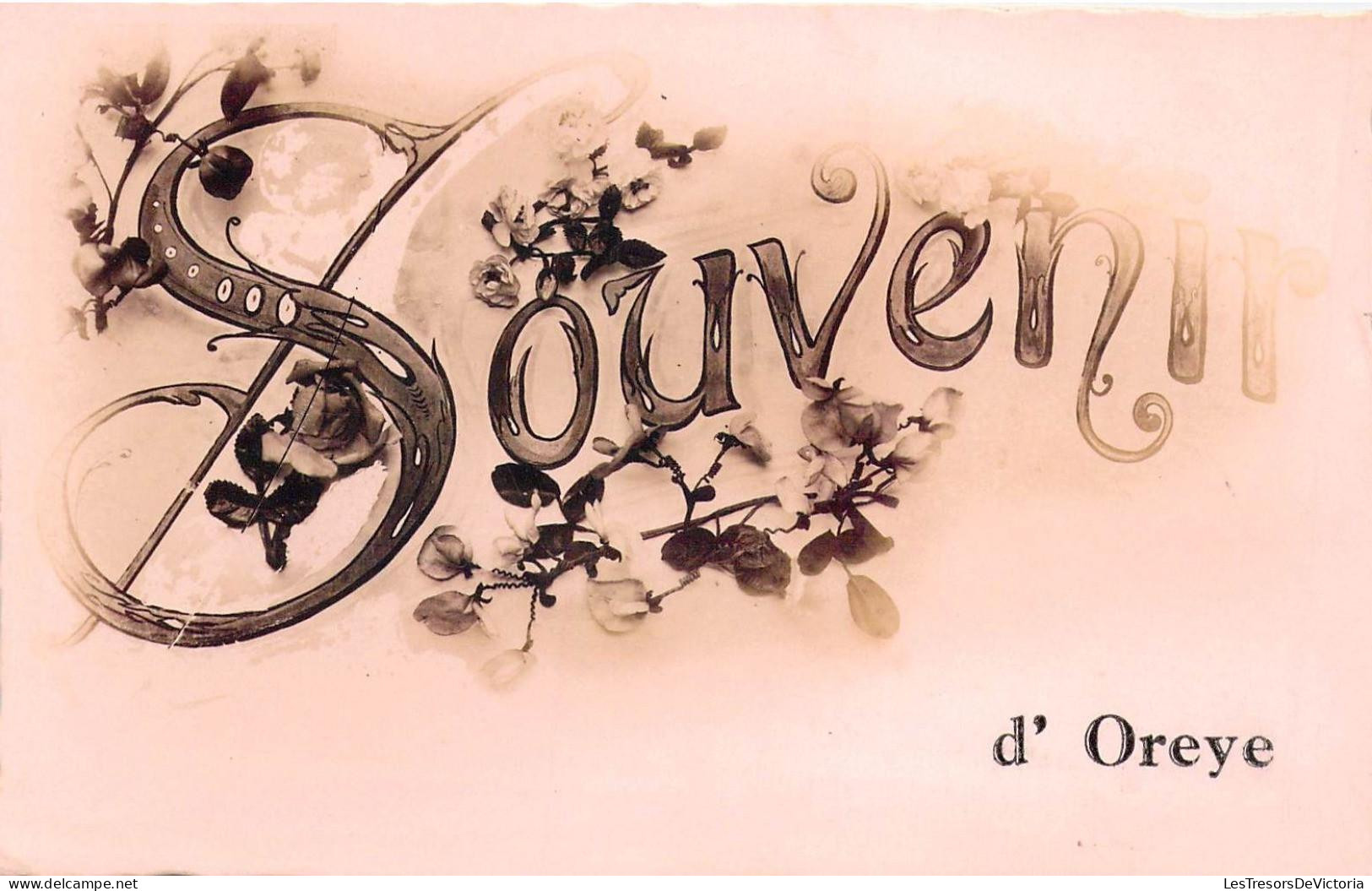 [-50%] BELGIQUE - OREYE - Souvenir doreye - Fleur - Carte Postale Ancienne