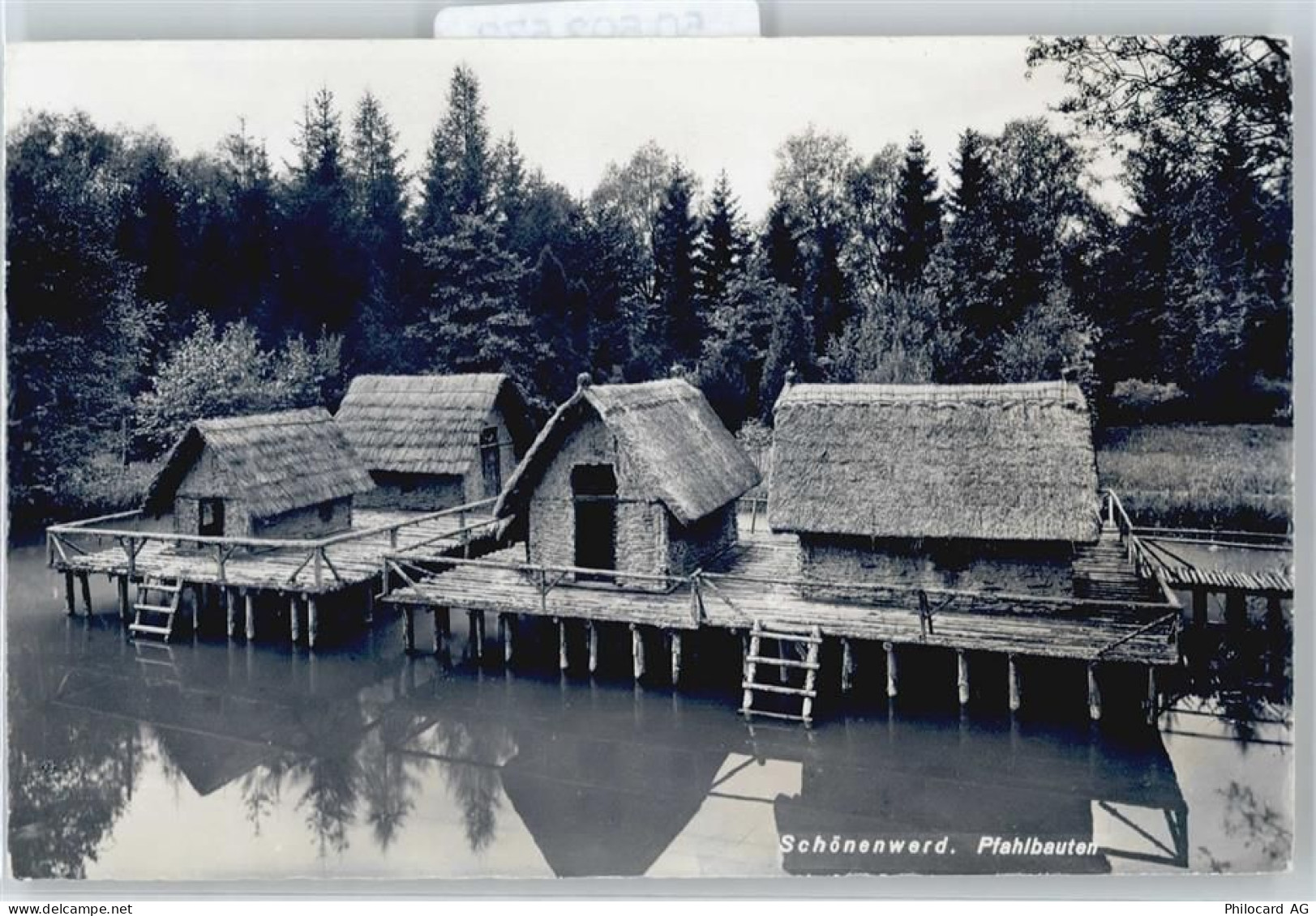 5012 Schönenwerd - Pfahlbauten - 50593573