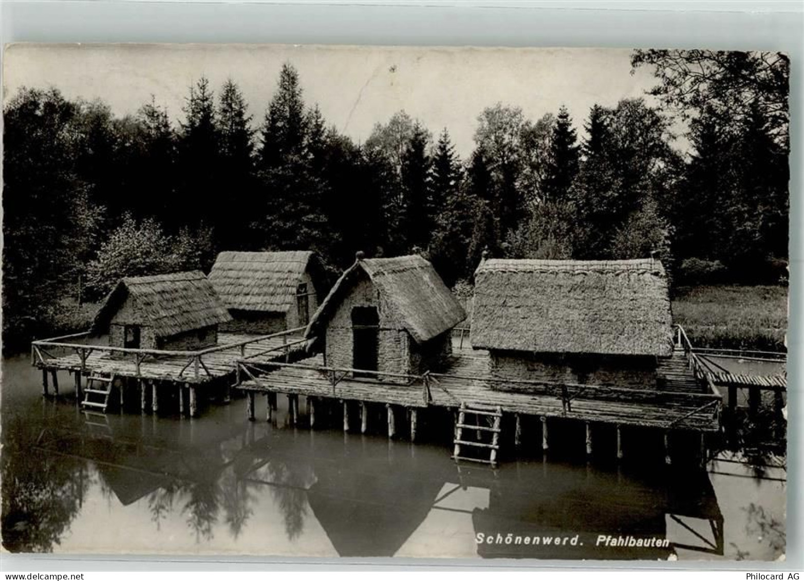 5012 Schönenwerd SO 1951 Foto AK Pfahlbauten - 39981653