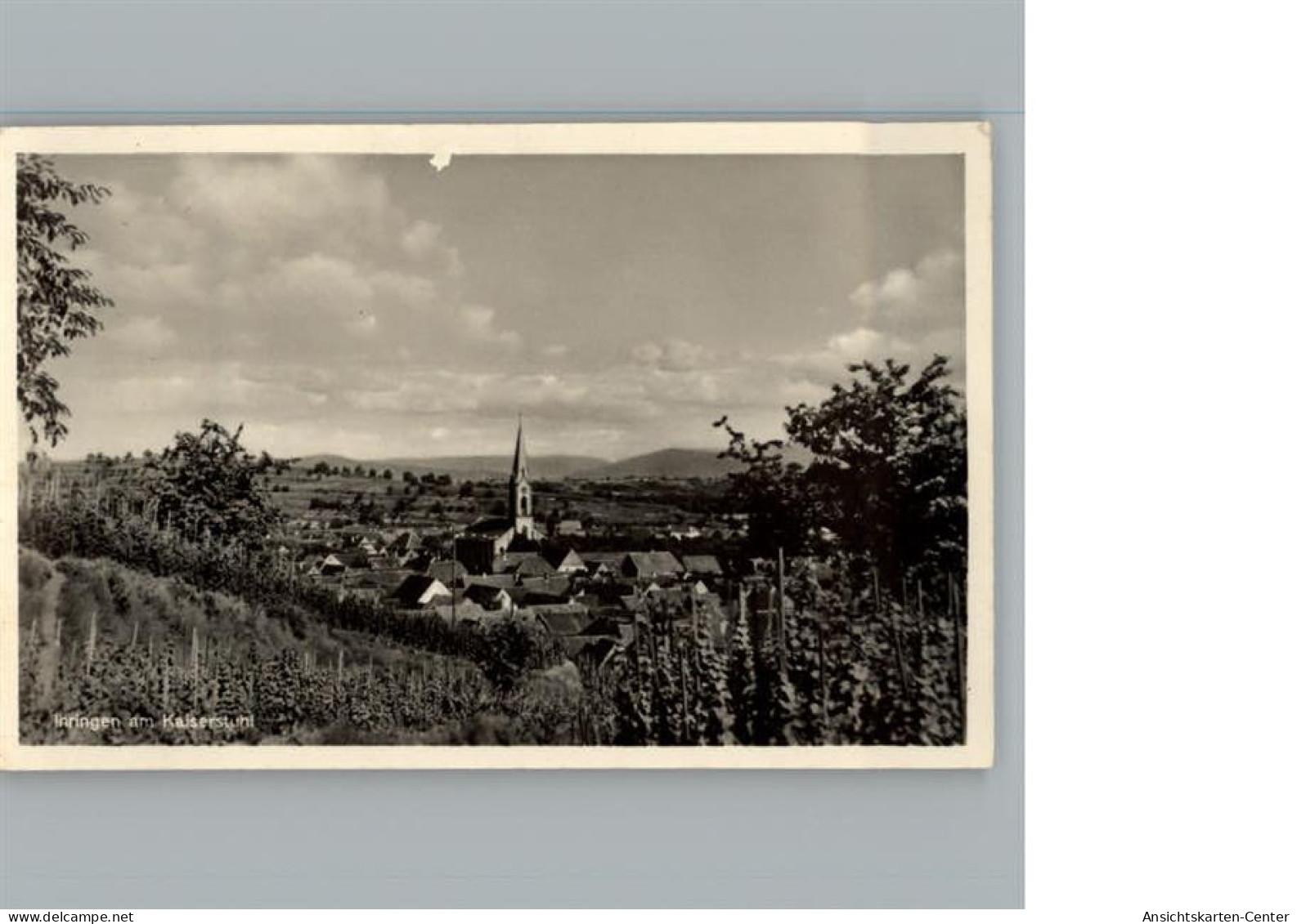 50149540 - Ihringen Kaiserstuhl Luftaufnahme AKU1