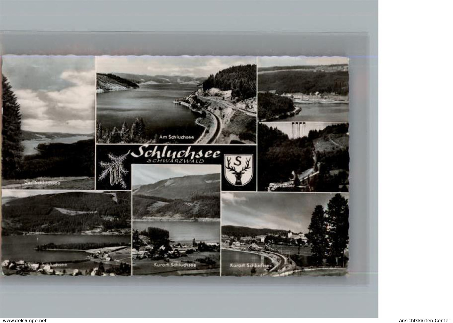 50158462 - Schluchsee