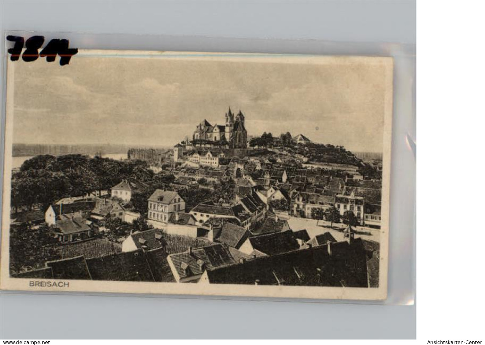 50191073 - Breisach am Rhein