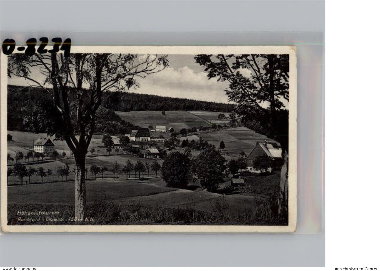 50191473 - Rehefeld-Zaunhaus