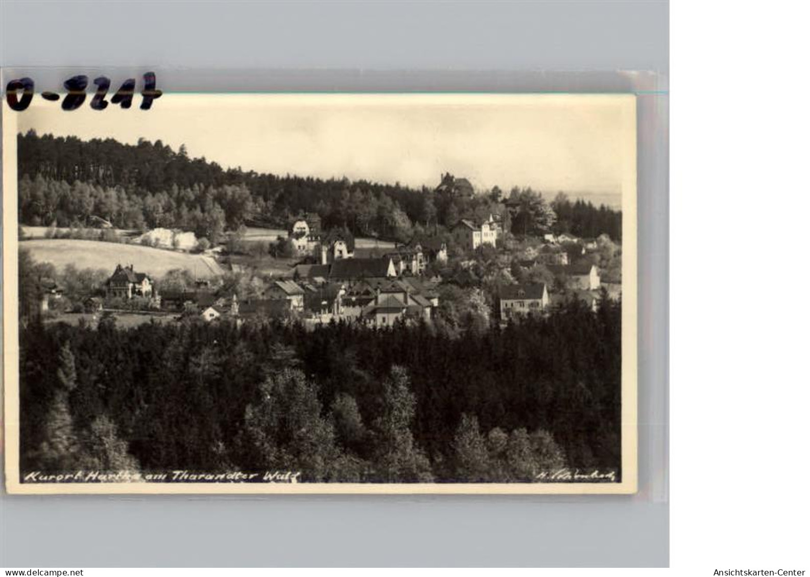 50191481 - Kurort Hartha