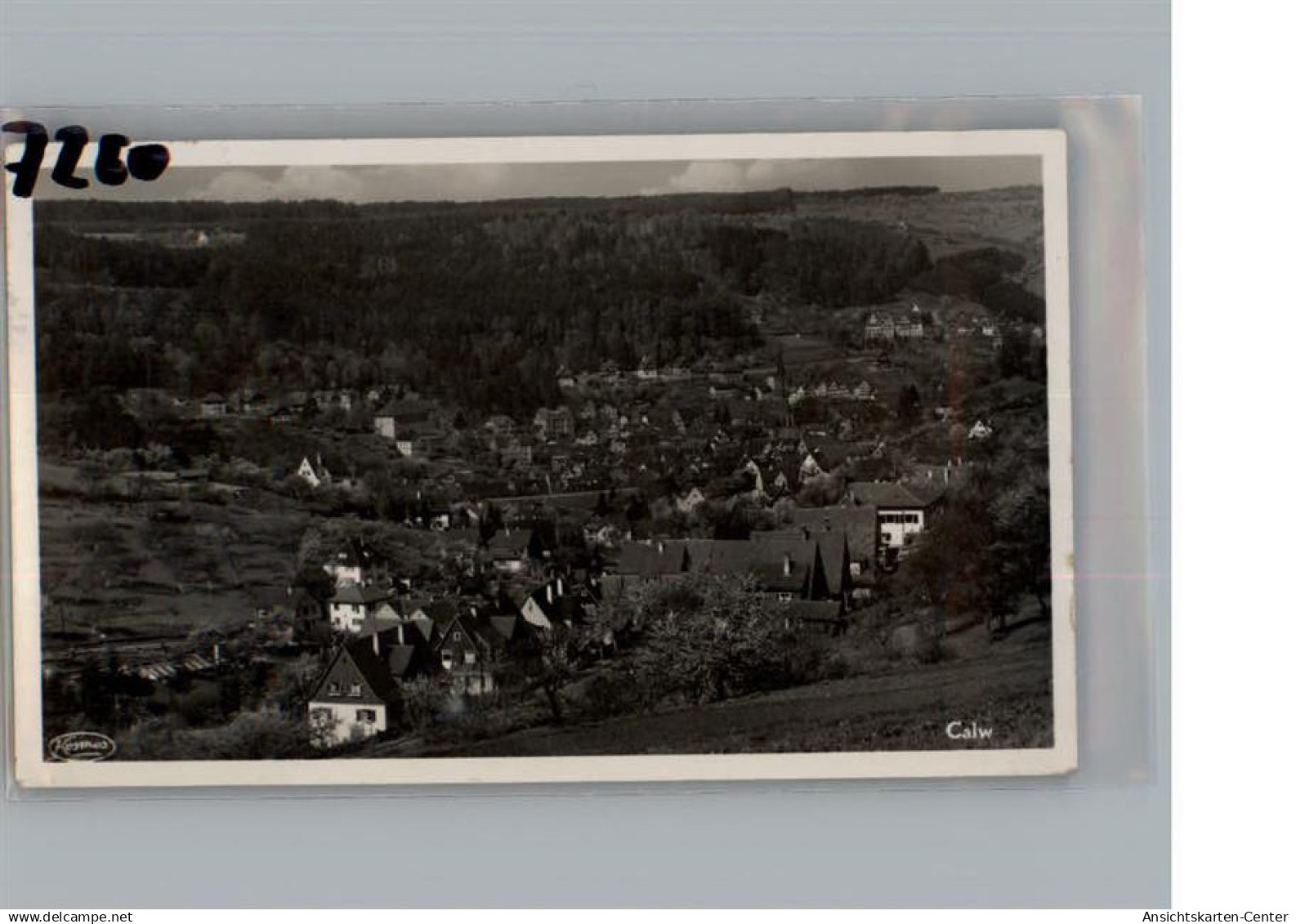 50198994 - Calw