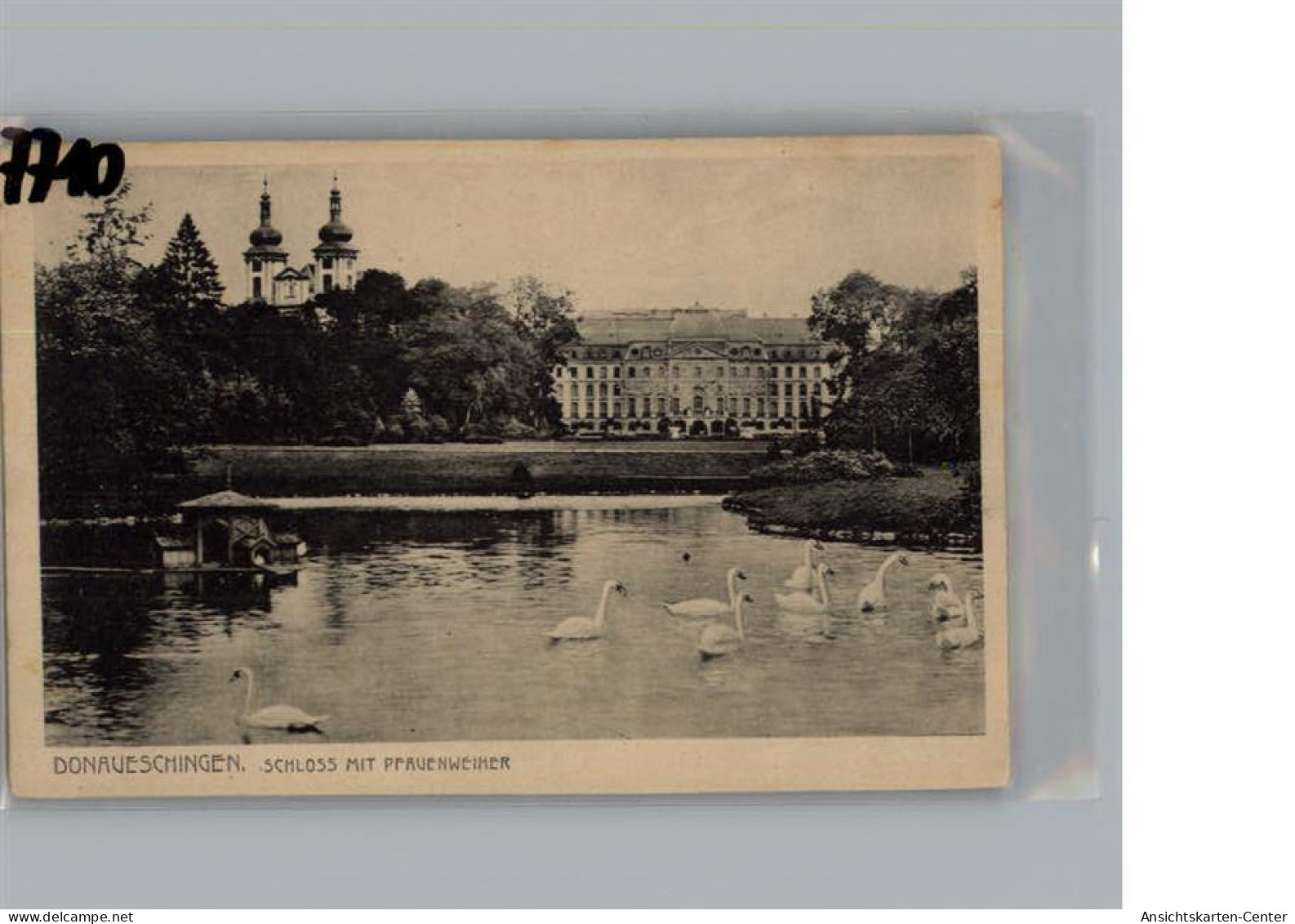 50199936 - Donaueschingen