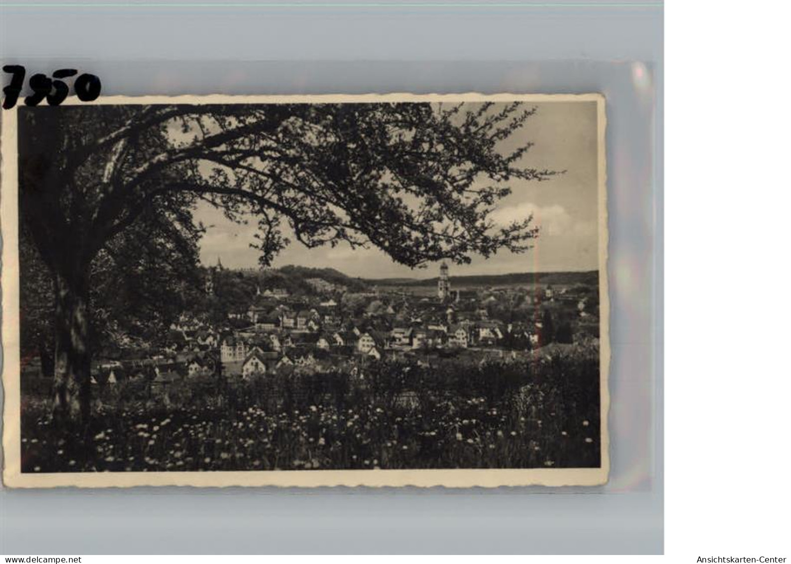 50201532 - Biberach an der Riss