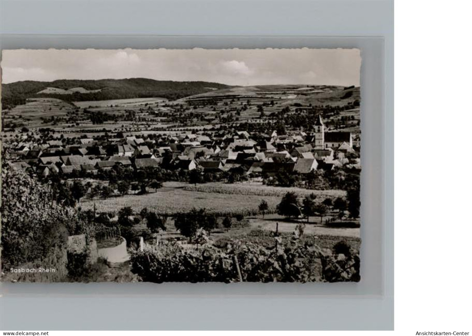 50212830 - Sasbach , Kaiserstuhl