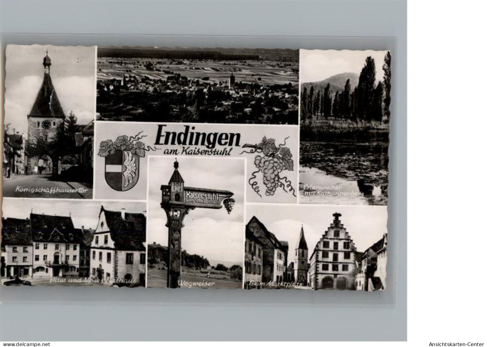 50212859 - Endingen am Kaiserstuhl