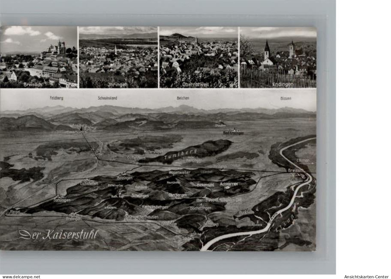 50212867 - Breisach am Rhein