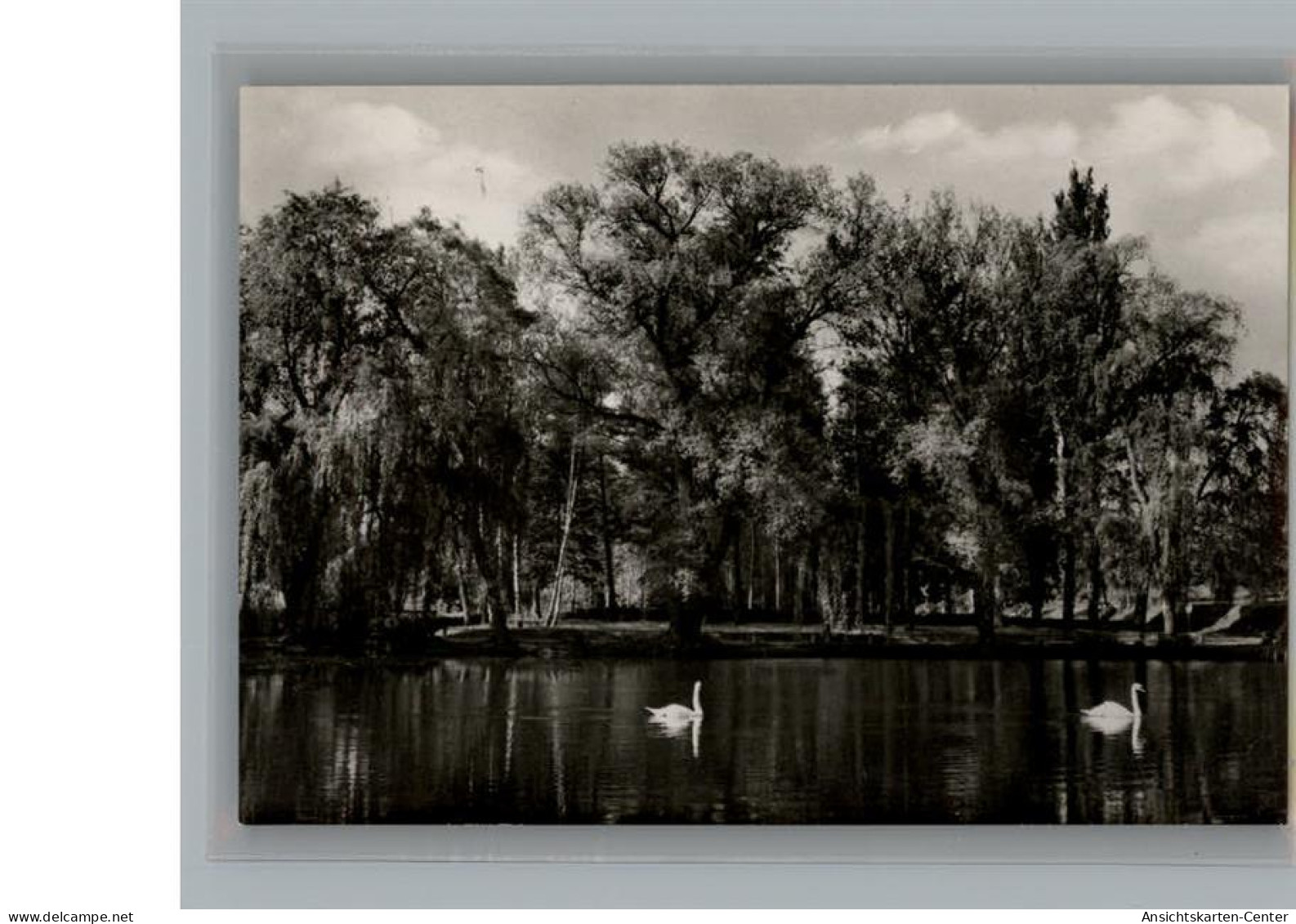 50212876 - Endingen am Kaiserstuhl