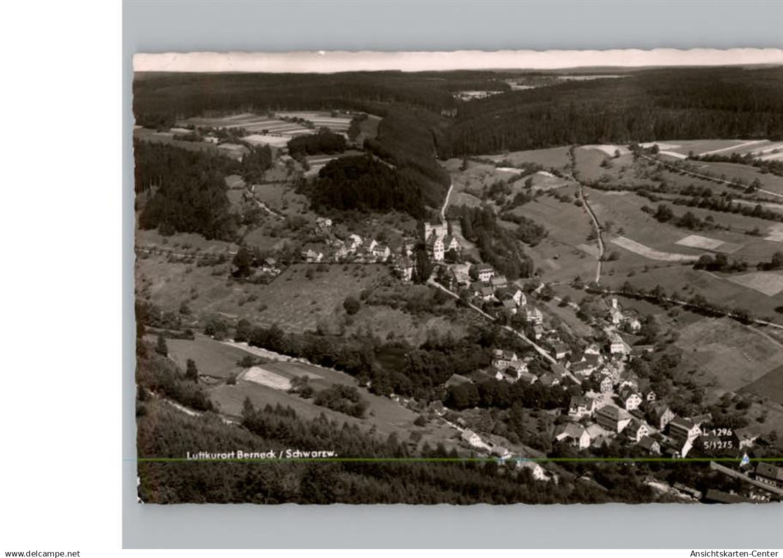 50215196 - Berneck , Wuertt