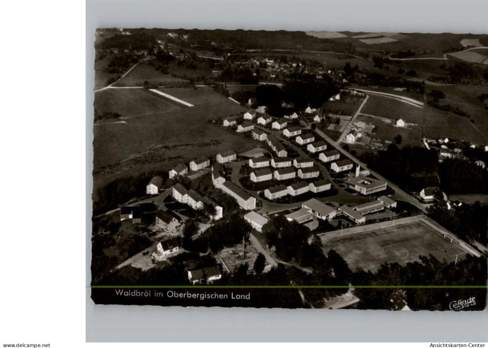 50216720 - Waldbroel