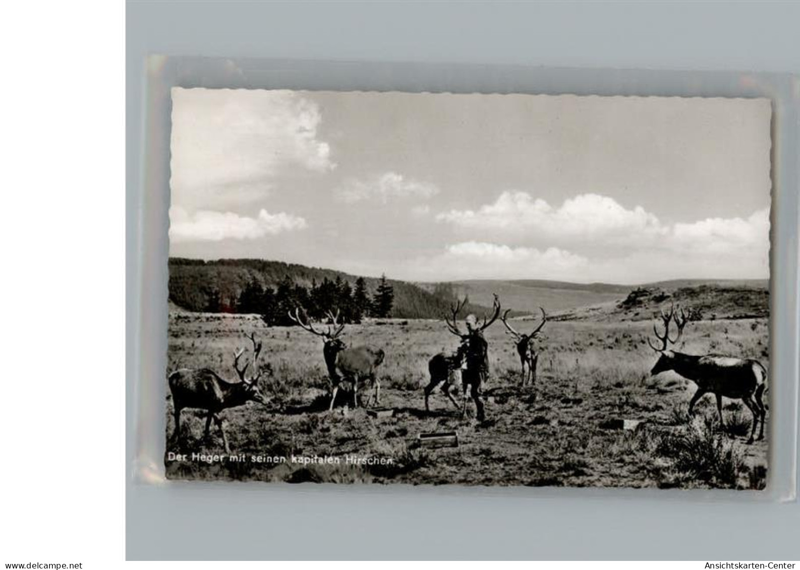 50224069 - Bad Harzburg