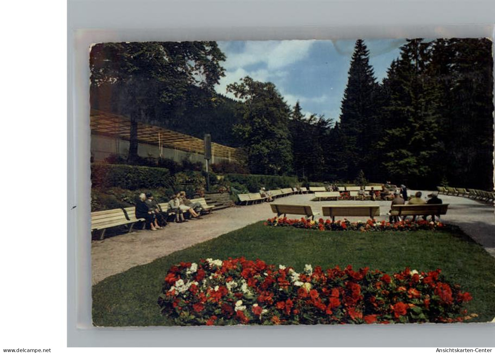 50224319 - Wildemann