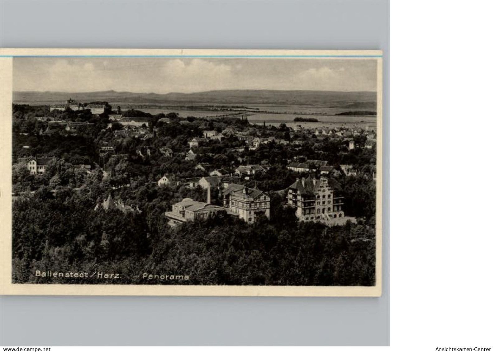 50262575 - Ballenstedt