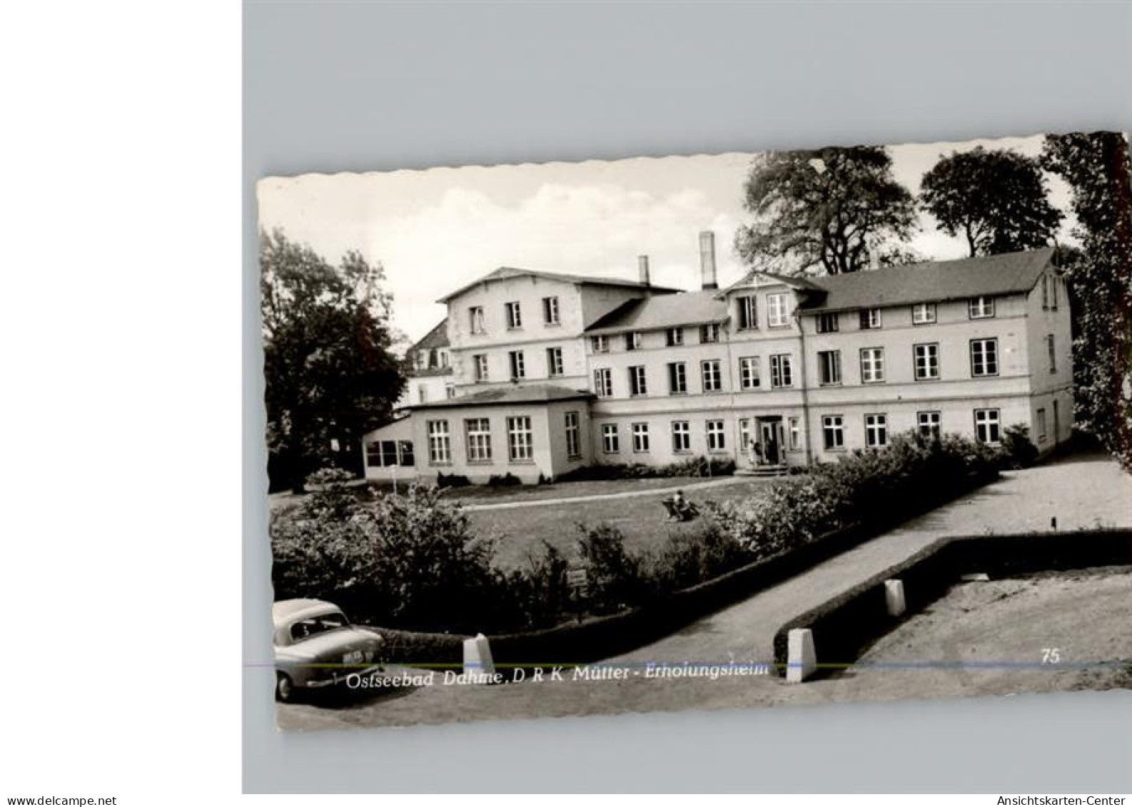 50264893 - Dahme , Holst