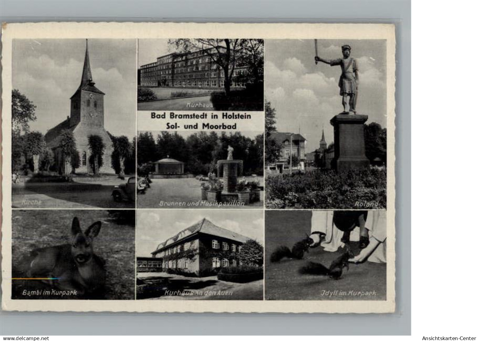 50267685 - Bad Bramstedt