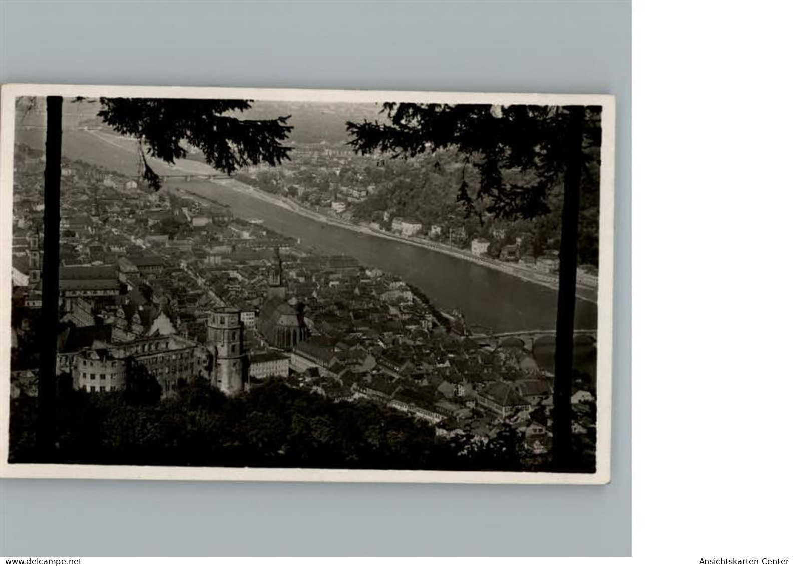 50267727 - Heidelberg