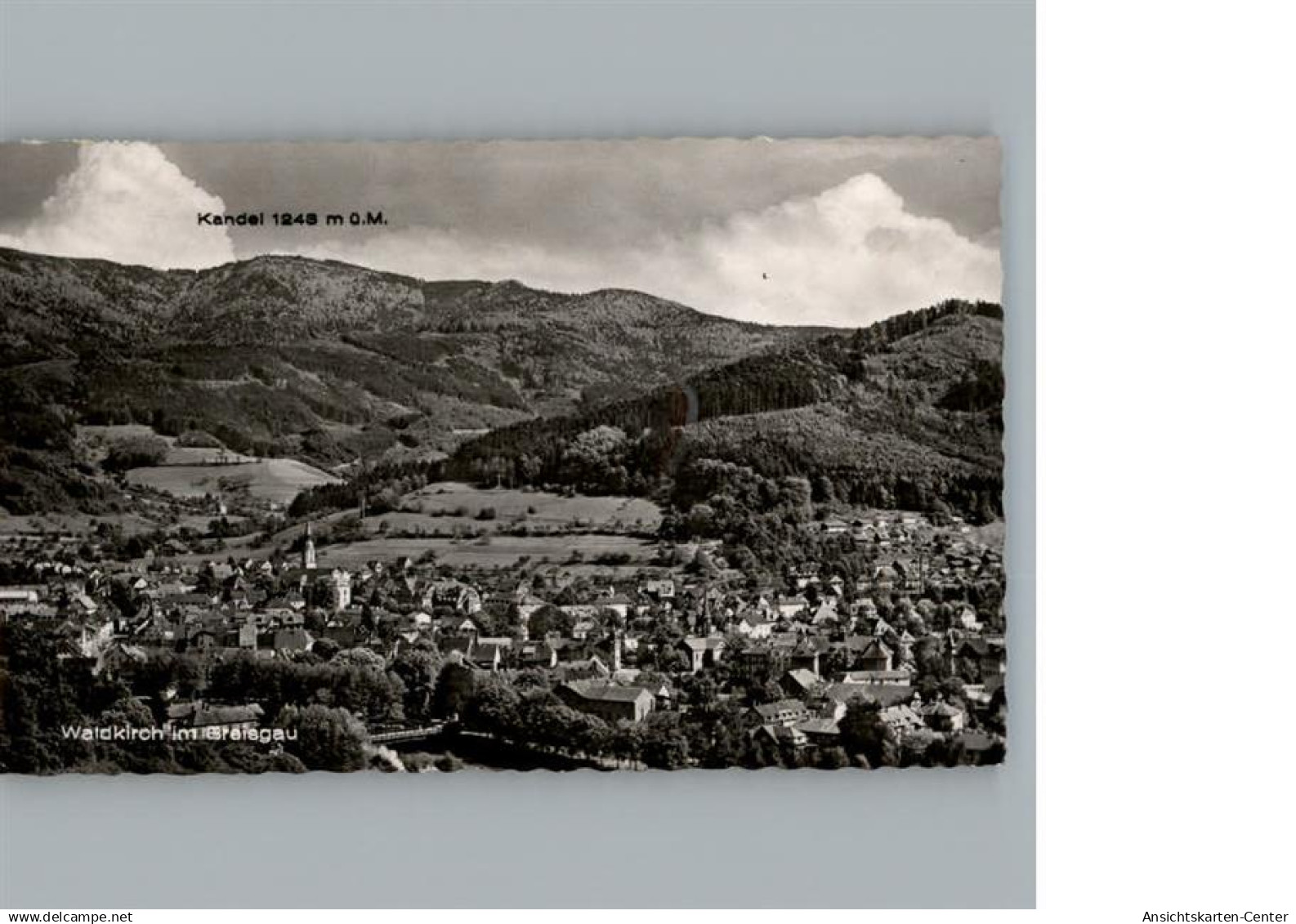 50267825 - Waldkirch Breisgau Luftaufnahme