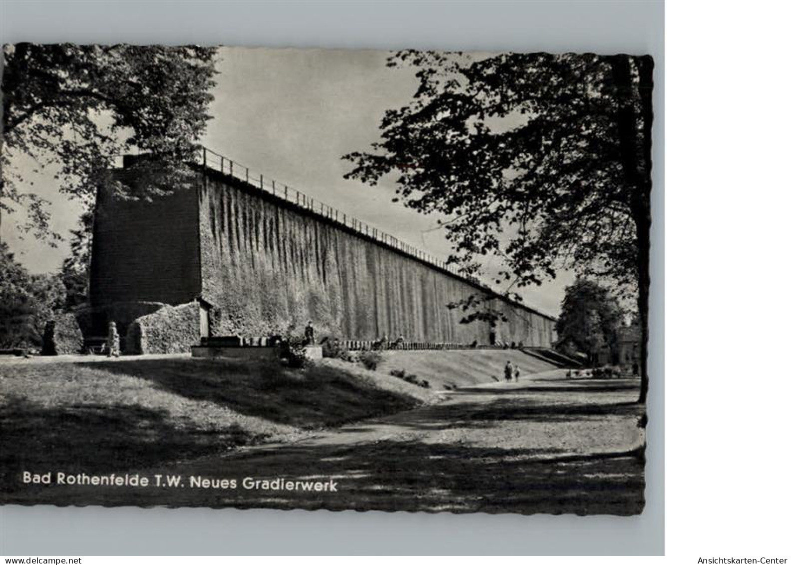 50268124 - Bad Rothenfelde