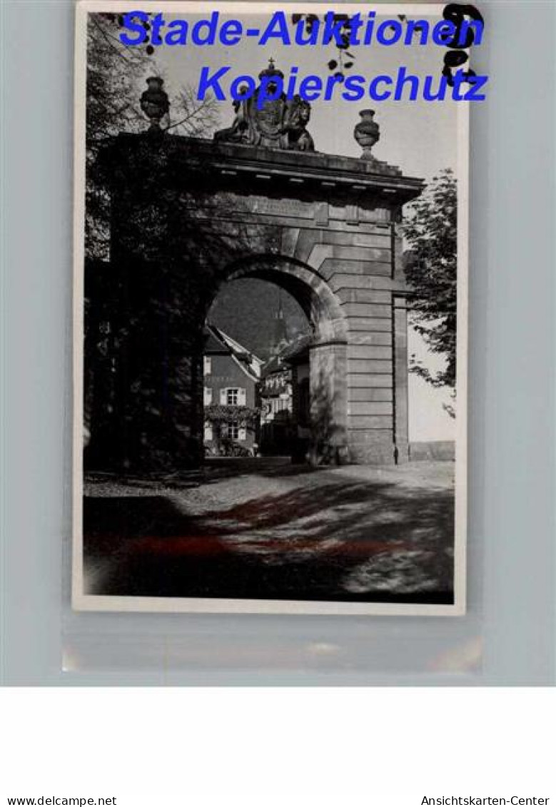 50275152 - Neckargemuend