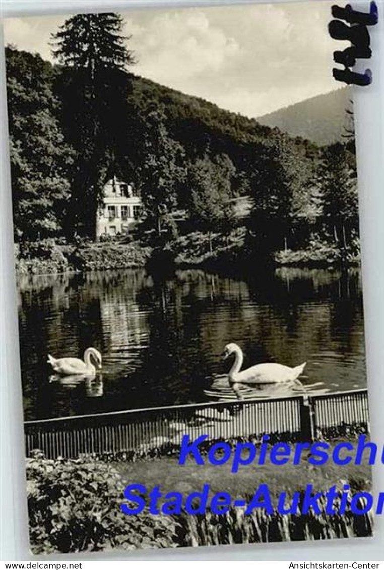 50277231 - Badenweiler