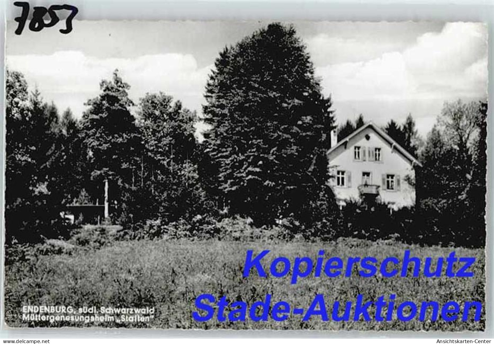 50277276 - Steinen Endenburg