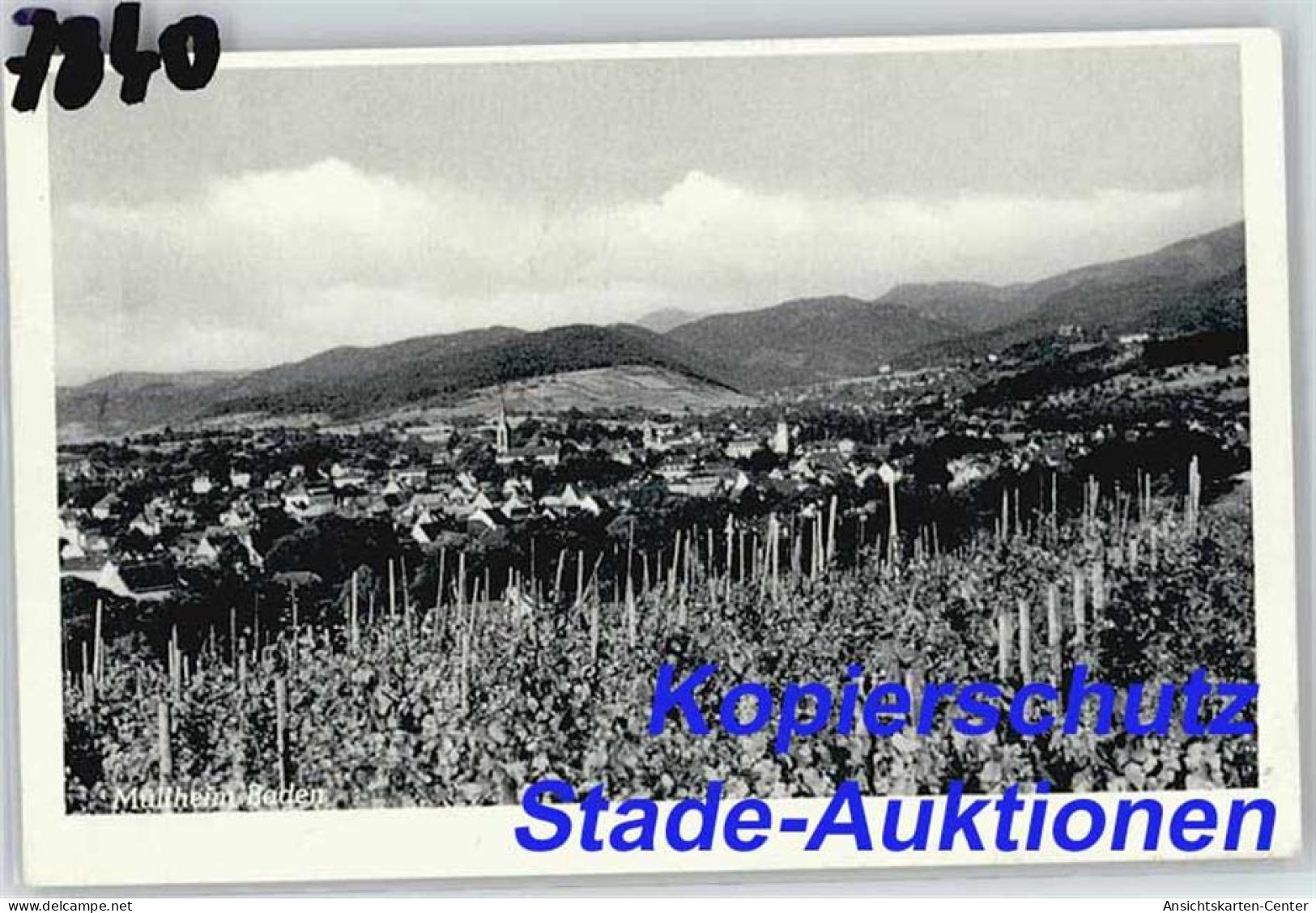 50277288 - Muellheim Baden