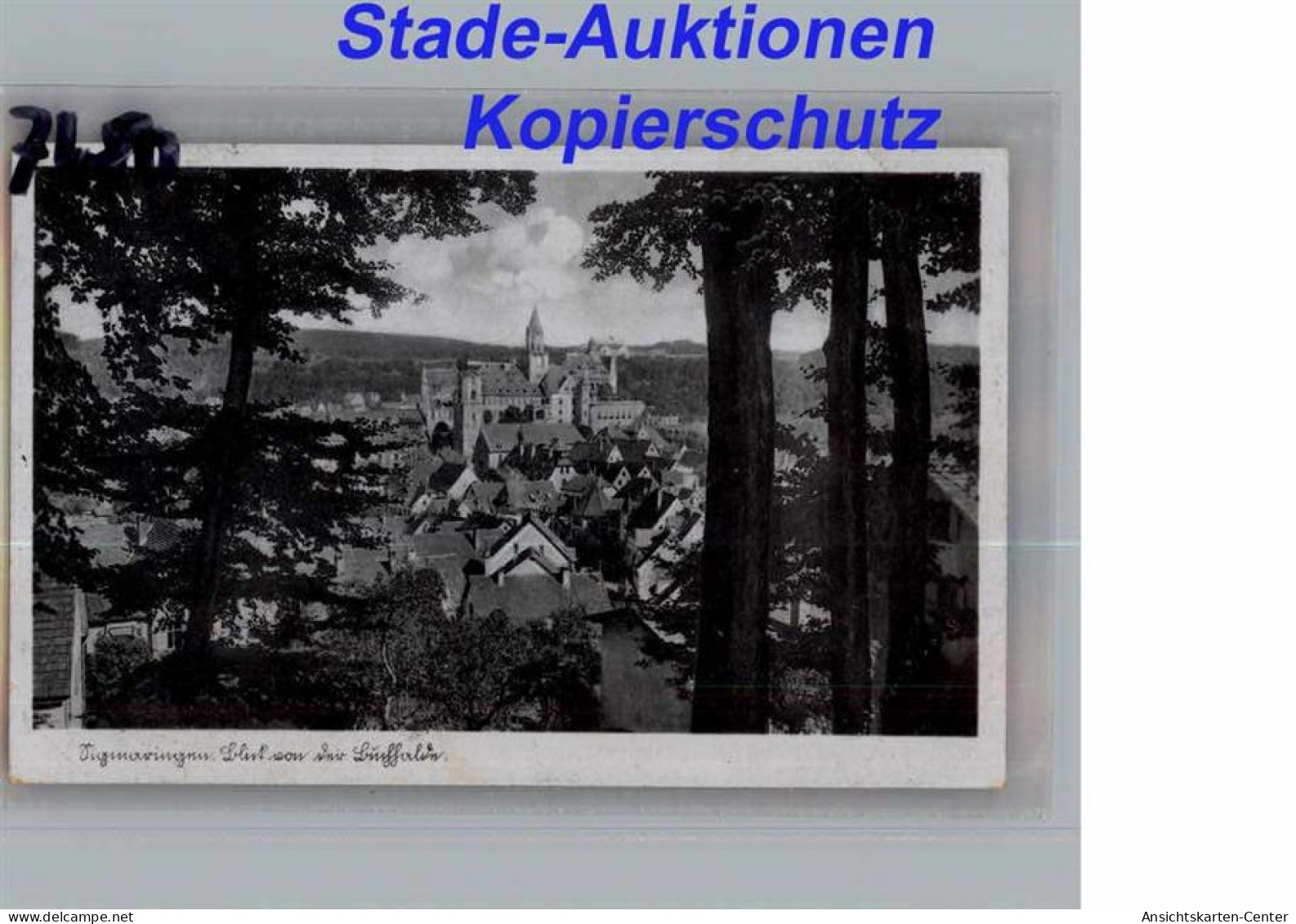 50282084 - Sigmaringen